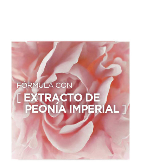 AGE PERFECT GOLDEN AGE CONTORNO DE OJOS