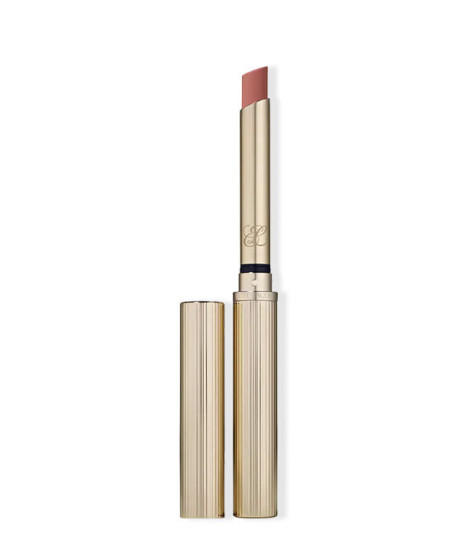 PURE COLOR EXPLICIT SILK MATTE