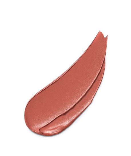 PURE COLOR EXPLICIT SILK MATTE