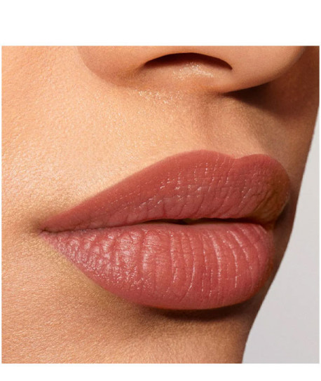 PURE COLOR EXPLICIT SILK MATTE