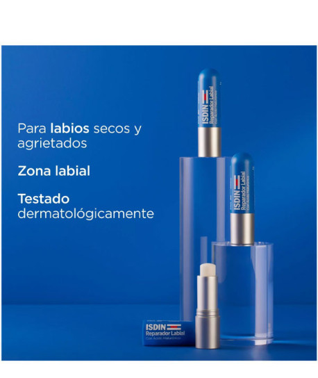 REPARADOR LABIAL STICK