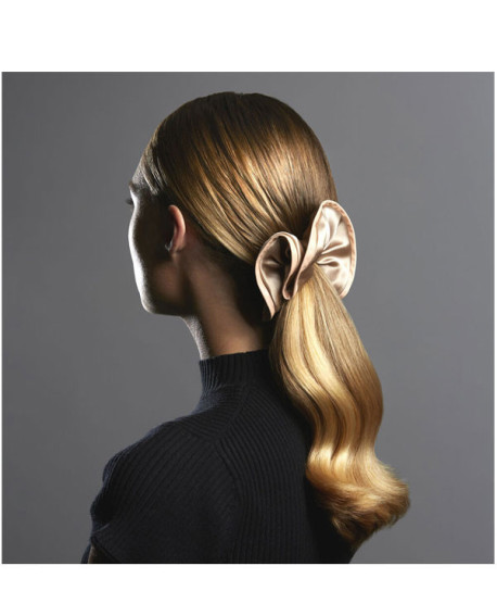 LA BROSSE BRILLANCE & DOUCEUR