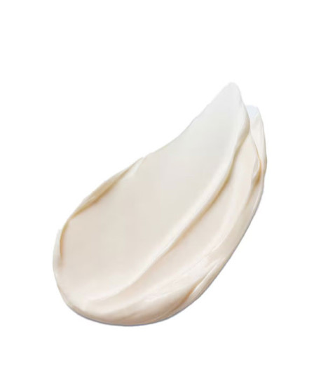 ADVANCED NIGHT REPAIR OVERNIGHT TREATMENT