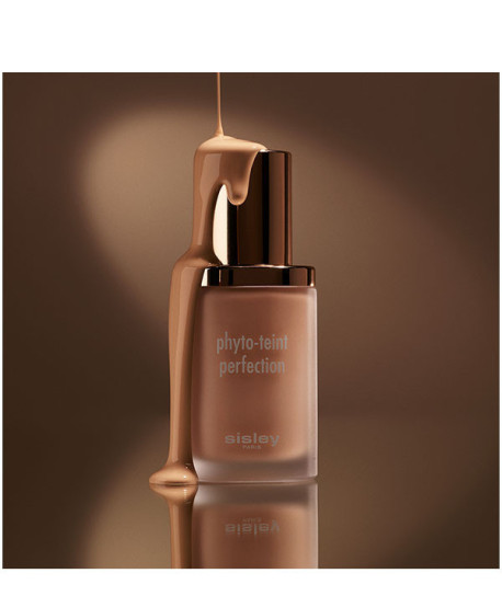 PHYTO-TEINT PERFECTION