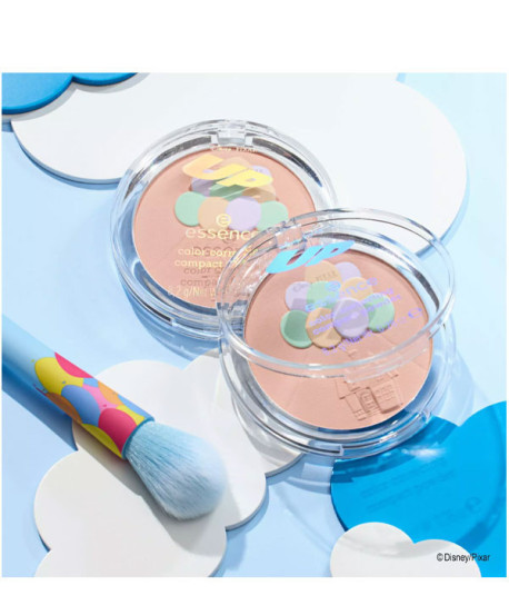 DISNEY PIXAR UP COLLECTION BROCHA