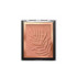 COLOR ICON BRONZER