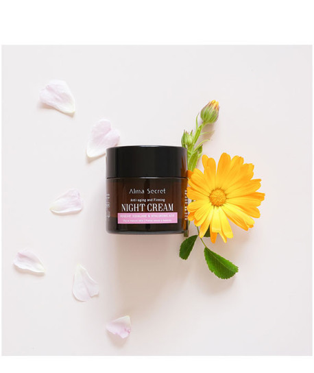 NIGHT CREAM PIEL SECA