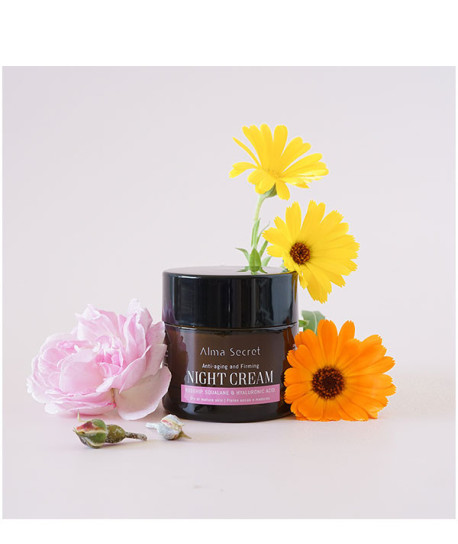 NIGHT CREAM PIEL SECA