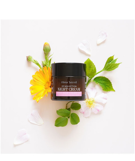 NIGHT CREAM PIEL SECA