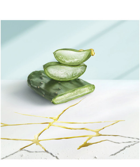 DERMAXPRO CHAMPÚ CALMANTE