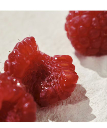 CHLOÉ L'EAU DE PARFUM INTENSE