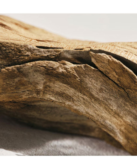 CHLOÉ L'EAU DE PARFUM INTENSE