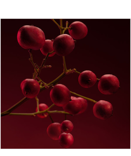 BOSS SCENT ELIXIR HER