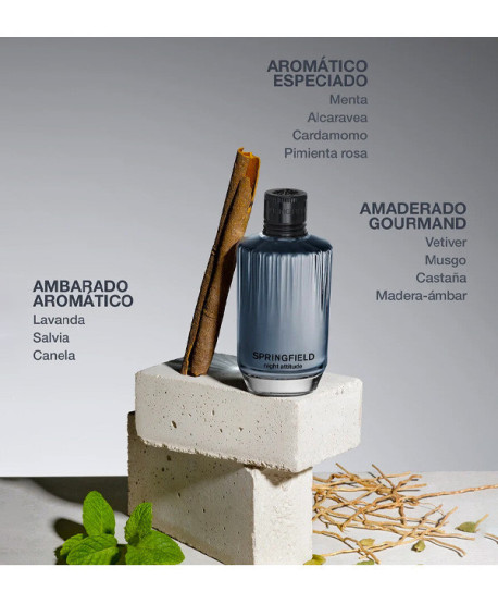 SPRINGFIELD NIGHT ATTITUDE