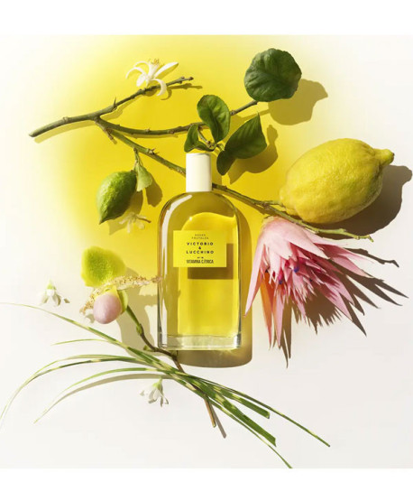 AGUAS FRUTALES Nº18 VITAMINA CÍTRICA