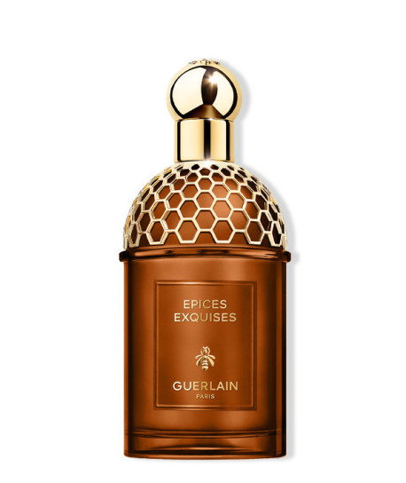 ABSOLUS ALLEGORIA EPICES EXQUISES