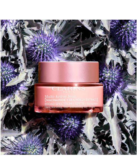 MULTI-ACTIVE JOUR SPF 15