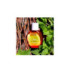 EAU DES JARDINS