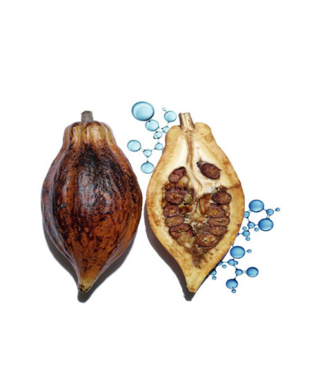 HYDRA-ESSENTIEL BAUME LÈVRES RÉPARATEUR