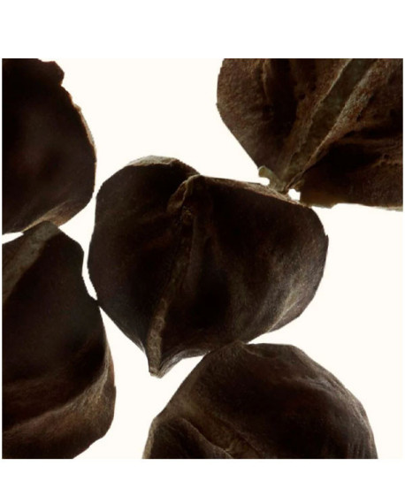 GOMMAGE EXFOLIANT PEAU NEUVE