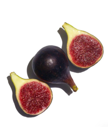 SELF TANNING INSTANT GEL