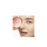 PALETTE
