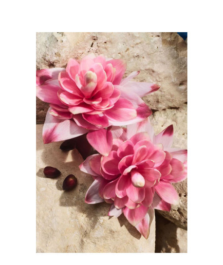 LIGHT BLUE CAPRI IN LOVE