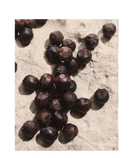 LIGHT BLUE CAPRI IN LOVE POUR HOMME