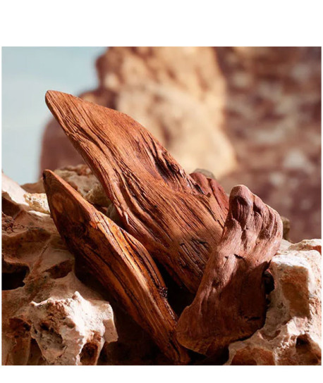 K BY DOLCE&GABBANA PARFUM