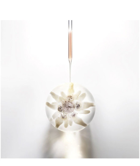 PRODIGY CELL GLOW FIRMING CREAM