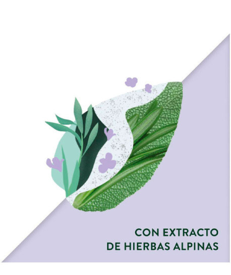 CHAMPÚ HIERBAS ALPINAS