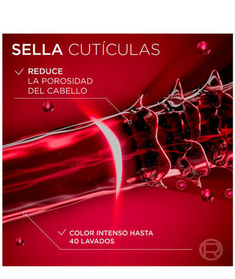 ELVIVE COLOR VIVE CHAMPÚ