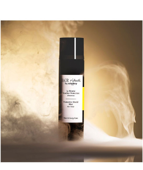 LA BRUME BOUCLIER PROTECTION