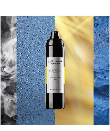 LA BRUME BOUCLIER PROTECTION