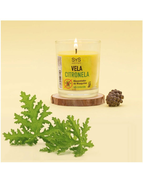 VELA CITRONELA