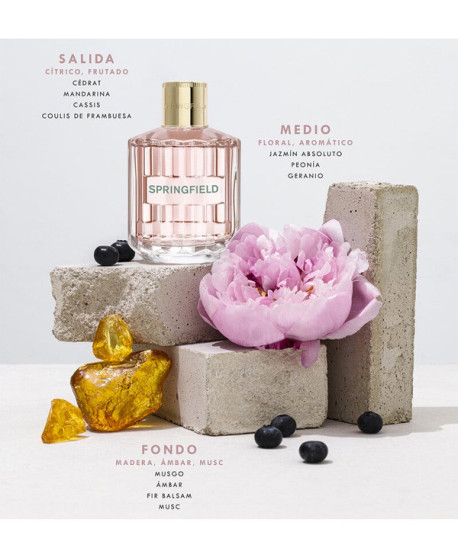 SPRINGFIELD FREE ATTITUDE