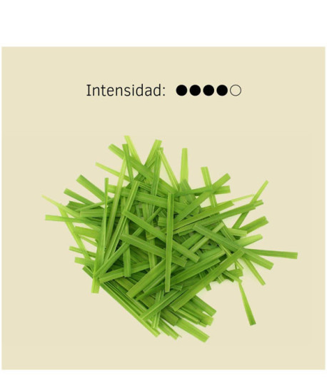 AMBIENTADOR MIKADO CITRONELA RECARGA