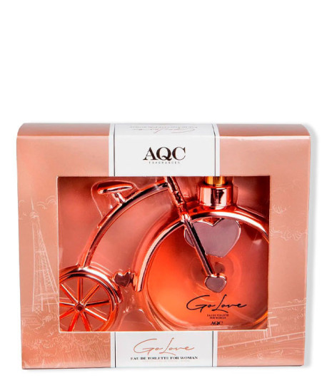 GO CHIC ROSE BICI
