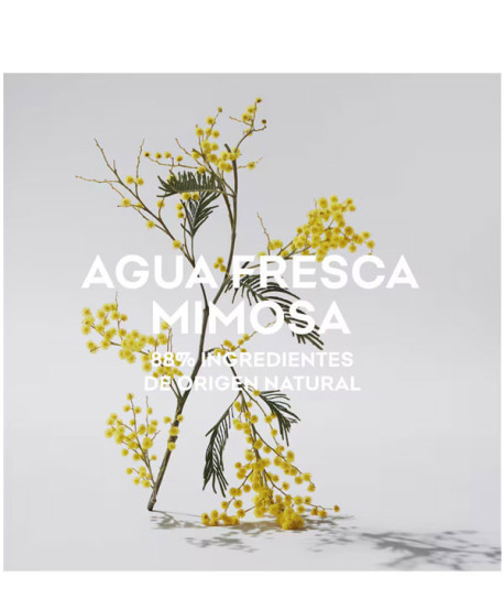 AGUA FRESCA MIMOSA