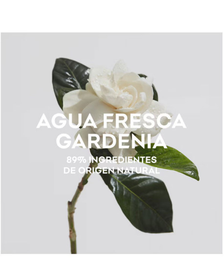 AGUA FRESCA GARDENIA