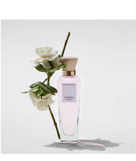 AGUA FRESCA GARDENIA