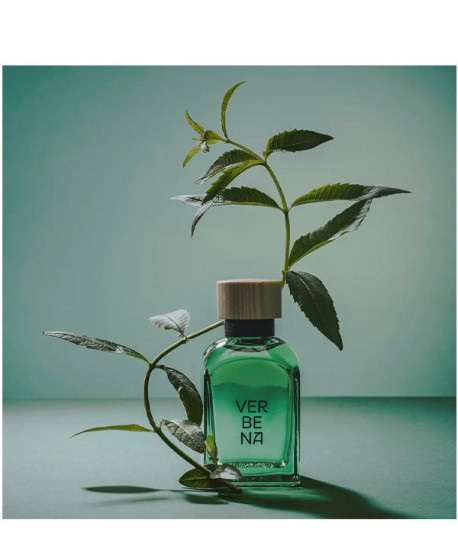 VERBENA MAN LIMITED EDITION