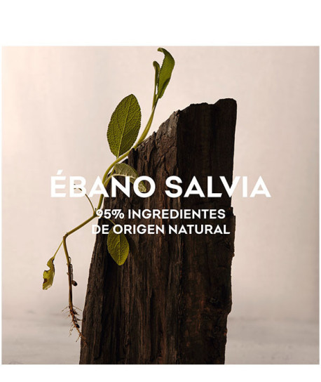 AGUA FRESCA ÉBANO SALVIA