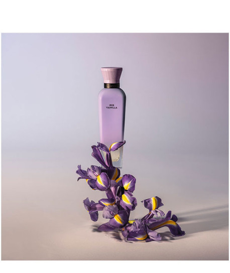 IRIS VAINILLA