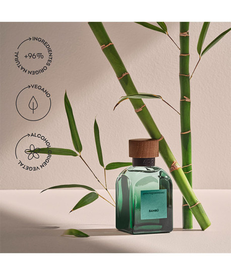 BAMBÚ EDP