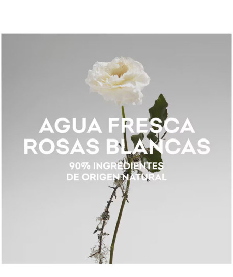 AGUA FRESCA DE ROSAS BLANCAS