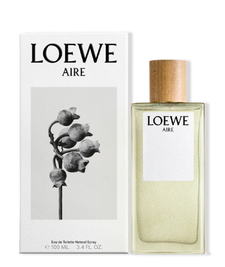 LOEWE AIRE