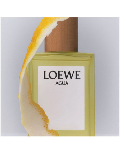 LOEWE AGUA