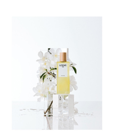 LOEWE AIRE FANTASIA