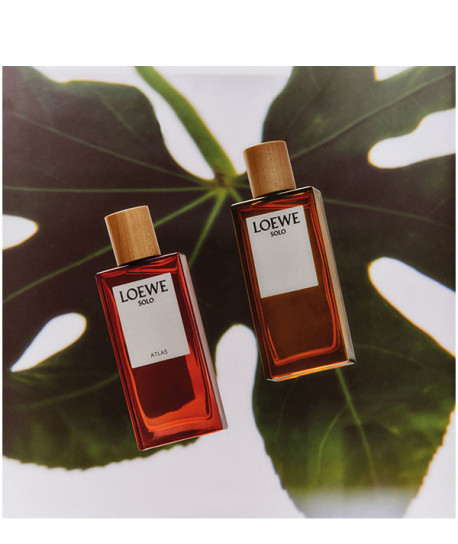 LOEWE SOLO ATLAS